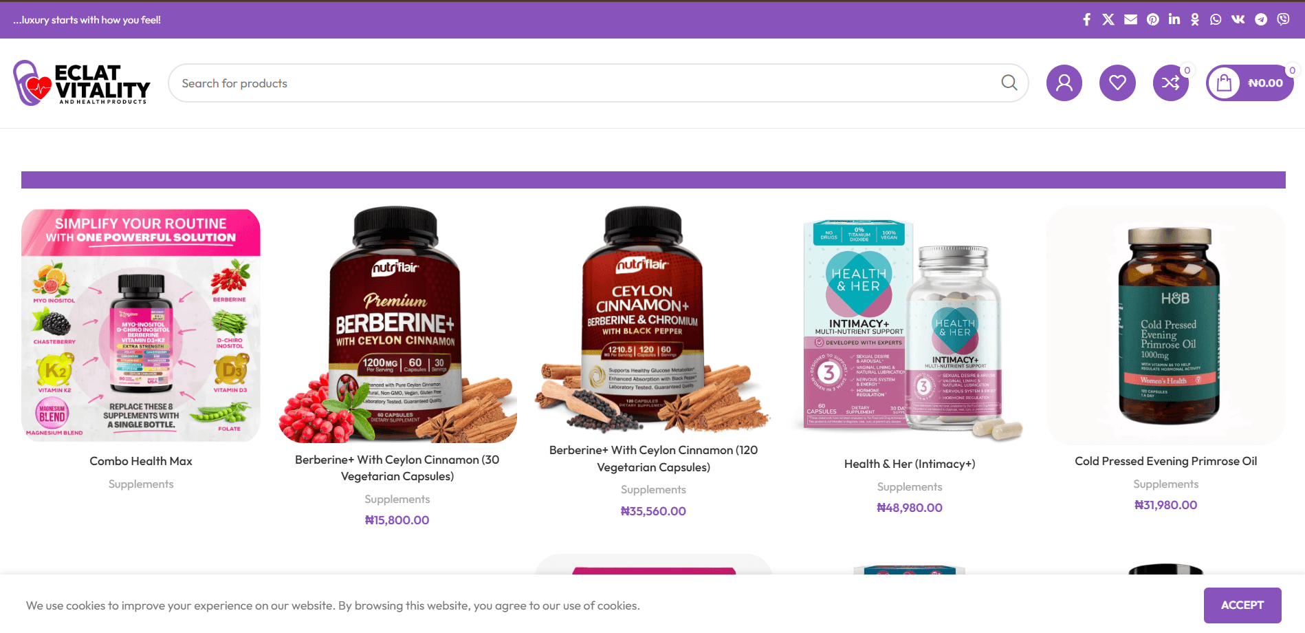 Eclat Vitality website preview