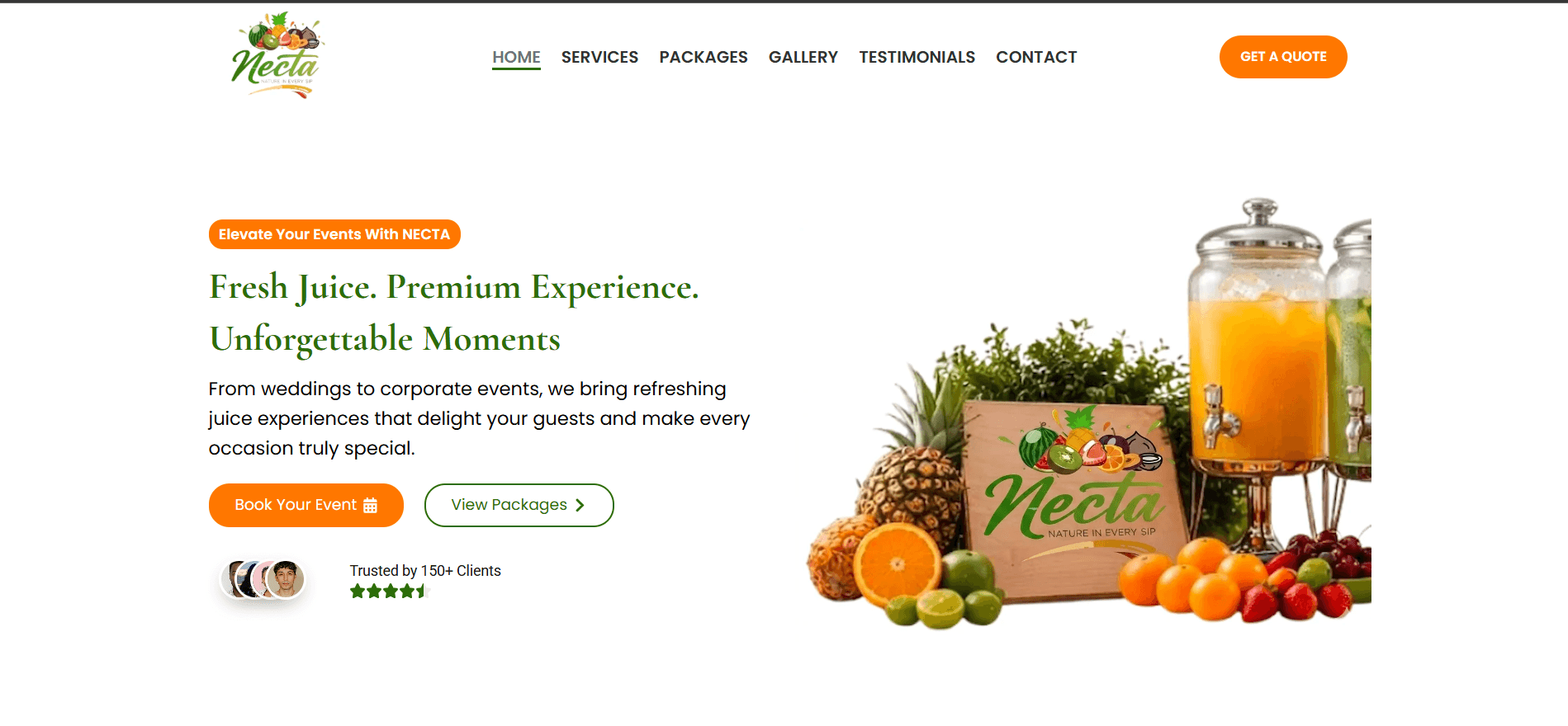 Necta Experience website preview
